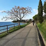 Erik&dani * 扎达尔