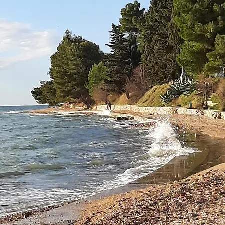 アパート Erik&dani