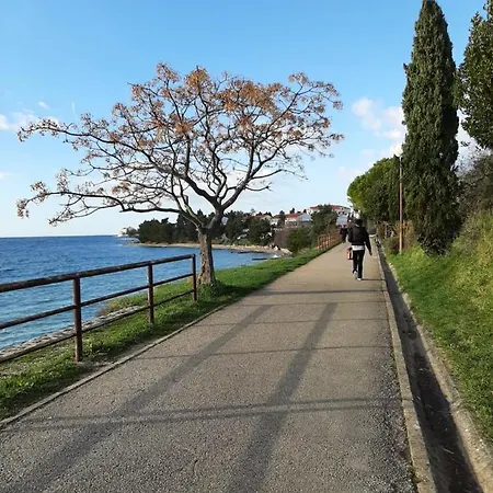 Erik&dani * ザダル